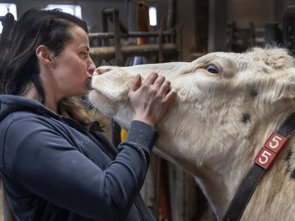 Nadja Simon gibt Kuh einen Kuss